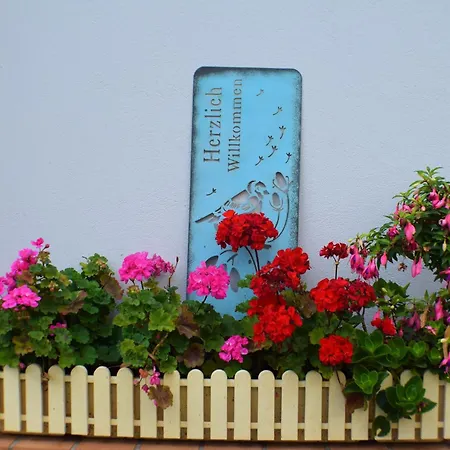 Goethe * Bernkastel-Kues