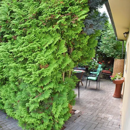 Apartment Goethe