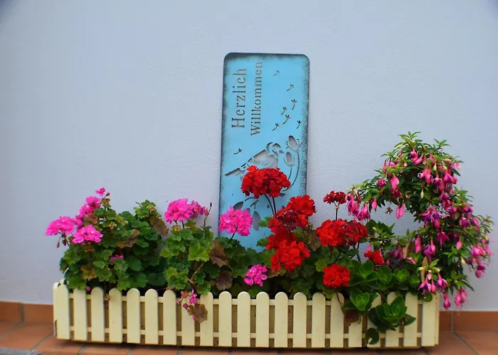 Goethe * برنكاستيل كويس